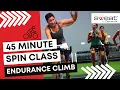 45 Minute Spin Class FAT BURNING Indoor Cycling CLIMB Workout Get Fit Fast
