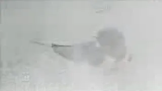 ياراحلين بعذب الذكريات قفو     دندنها