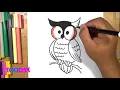 How to Color Large Eye Owl Coloring Page