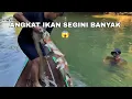 Download Lagu KAWANAN IKAN KEMBALI KENA JALA, BERATTTTT...‼️