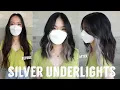 Silver Underlights on Dark Asian Hair High Contrast Lift Placement Tutorial