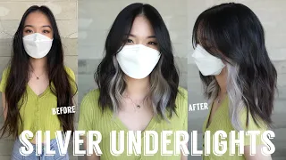 Silver Underlights on Dark Asian Hair High Contrast Lift Placement Tutorial