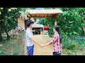 Download Lagu CEO Dong's surprise gift for Tu Yen makes the farm beautiful