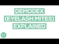 Demodex Eyelash Mites Eyelash Mite Causes Symptoms and Treatments