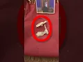 The Relics of a 5th Century Monk