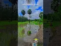 Download Lagu #trending #nature #reels #love #village #tamil #travel #naturephotography #photography #song