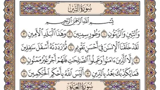 سورة التين مكتوبة   سعود الشريم دندنها