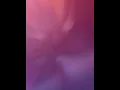 Download Lagu Adu mama e e e ee e