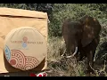 Download Lagu Saruni Samburu Our Stories of an Awesome Safari Camp