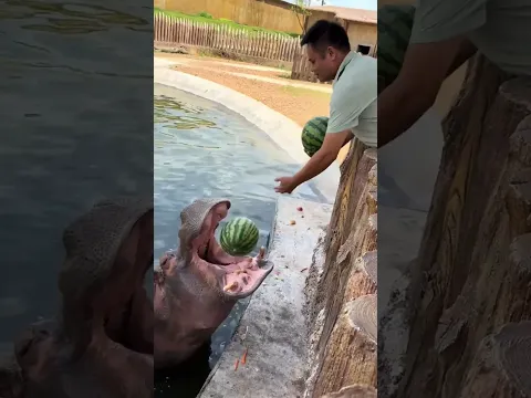 #tiktoktrend