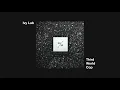 Ivy Lab - Third World Cop