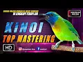 Download Lagu kinoi || TOP MASTERING MURAI BATU