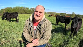 Training a New Bull (and other wet weather jobs)