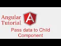 Angular 9 tutorial pass data parent to child component