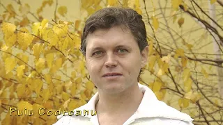 puiu codreanu tu esti jumatatea mea hit live