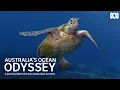 What Is The East Australian Current Australia s Ocean Odyssey