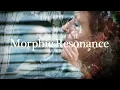 Lagu Morphic Resonance | Communicating with Nature | Full Film