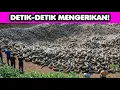 Lagu KUASA TUHAN! Rekaman Kamera Detik-Detik Sebelum Bencana Terjadi