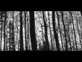 Laura - Prinz Pi (Musikvideo)