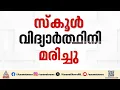 സ്കൂൾ കുട്ടികളുമായി പോയ ഓട്ടോ തോട്ടിലേക്ക് മറിഞ്ഞ് അപകടം; 8 വയസുകാരിക്ക് ദാരുണാന്ത്യം | Accident