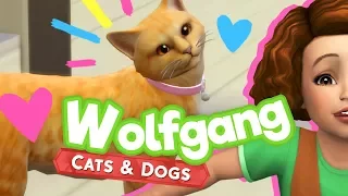 extended family lets play the sims 4 cats and dogs wolfgang 5
