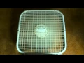 8hrs Box Fan Sleep Sounds Get to Sleep Fast