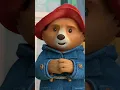 Download Lagu Paddington | Pigeonton