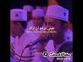 Download Lagu ROUHI FIDAK
