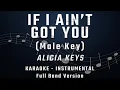 Download Lagu IF I AIN'T GOT YOU - MALE KEY - FULL BAND KARAOKE - INSTRUMENTAL - ALICIA KEYS