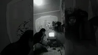 pidi baiq di ini januari