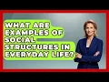 What Are Examples of Social Structures in Everyday Life The Sociology Workshop