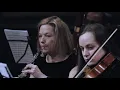 Beethoven - Symphony No. 1 in C Major, Op. 21 (Metamorphose String Orchestra)