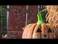 Weekend Break Jack s Pumpkin Pop-Up