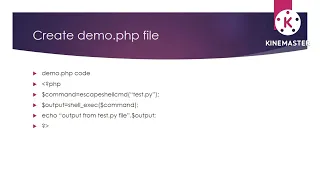 python file run from php file