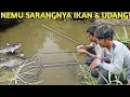 Download Lagu BERTUALANG, MANCING UDANG, NGEJALA \u0026 SESER IKAN DI ALIRAN SUNGAI
