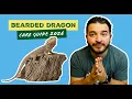 Bearded Dragon Care Guide Everything You Need to Know 2026