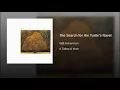The Search for the Turtle's Navel