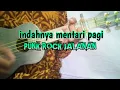 Lagu INDAHNYA MENTARI PAGI ||PUNK ROCK JALANAN COVER KENTRUNG SENAR 4