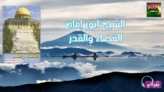 الشيخ انور امام القضاء والقدر 