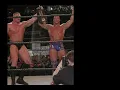 Brock Lesnar - Wikipedia article