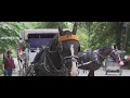 Family of teen killed in horse carriage accident files claim against NYC agencies
