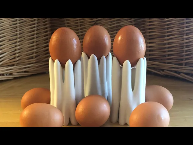 Top Opt Egg Holders video thumbnail