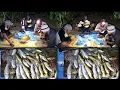 Download Lagu Berburu nombak ikan di karang dangkal hasilnya masak di lokasi