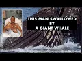 Diver Swallowed Down by Humpback Whale Survives MysteryUniverse