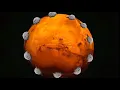 Bouncing Seals Space