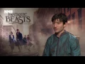 Ezra Miller On How Fantastic Beasts Mirrors The Intolerance And Bigotry Of Contemporary Politics
