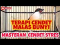 Download Lagu TERAPI CENDET MALAS BUNYI | TERAPI CENDET STRES | MASTERAN CENDET TERBAIK