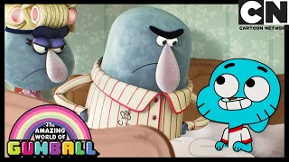What Did Darwin Drink The Anybody Gumball Cartoon Network