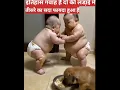 Lagu Cute baby#YouTube #sorts#badmashiya Rishik ki
