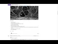 LIVENODING First Look SV Pulga Physics Modular